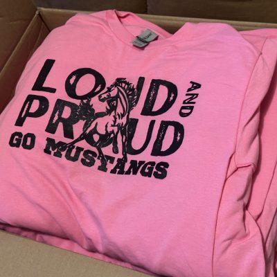 School pride t-shirts custom printed in Nampa